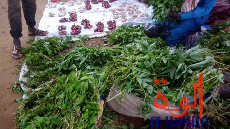 Tchad : à Goz Beida, le marché du dimanche prospère malgré l'état d'urgence. © Alwihda Info