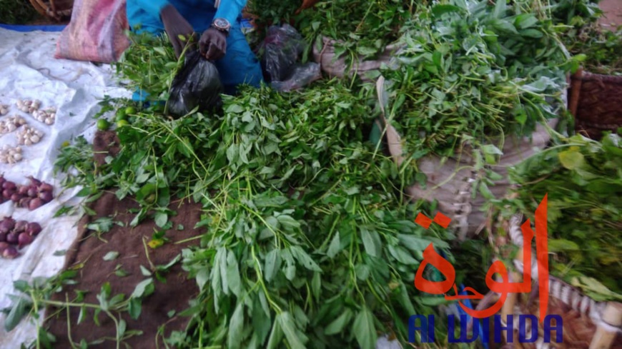 Tchad : à Goz Beida, le marché du dimanche prospère malgré l'état d'urgence. © Alwihda Info Tchad : à Goz Beida, le marché du dimanche prospère malgré l'état d'urgence. © Alwihda Info