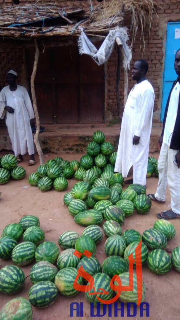 Tchad : à Goz Beida, le marché du dimanche prospère malgré l'état d'urgence. © Alwihda Info