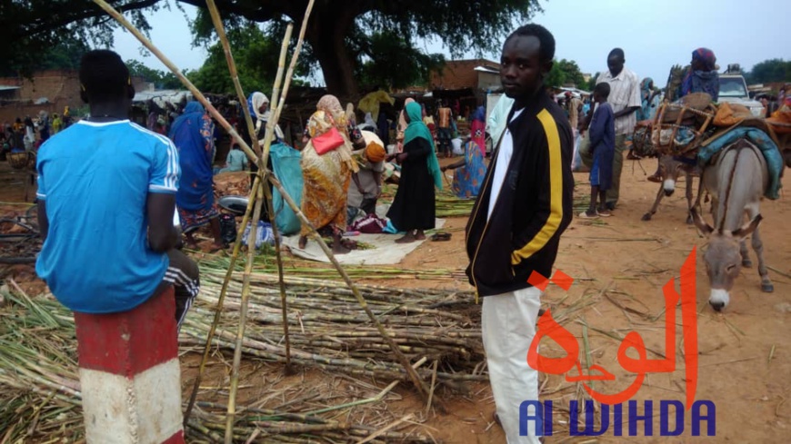 Tchad : à Goz Beida, le marché du dimanche prospère malgré l'état d'urgence. © Alwihda Info Tchad : à Goz Beida, le marché du dimanche prospère malgré l'état d'urgence. © Alwihda Info