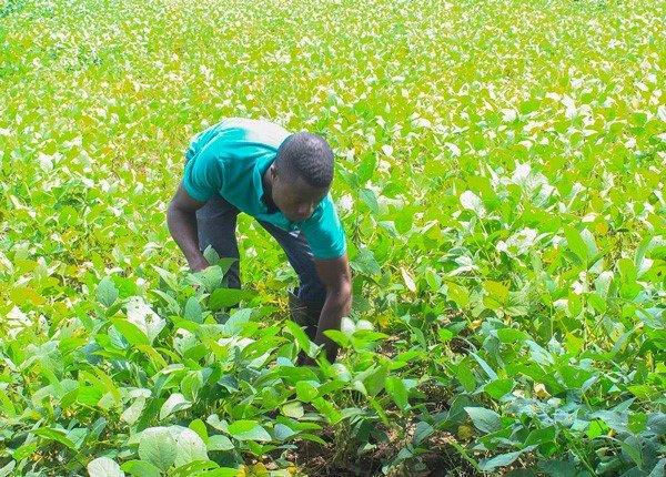 Au Togo, les jeunes et les PME reçoivent le plein soutien de la BAD. © Afdb