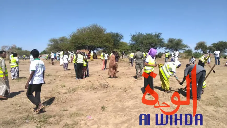 Tchad : contre la désertification, 6 hectares mis à disposition de Citoyens sans frontières