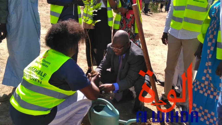 Tchad : contre la désertification, 6 hectares mis à disposition de Citoyens sans frontières Tchad : contre la désertification, 6 hectares mis à disposition de Citoyens sans frontières