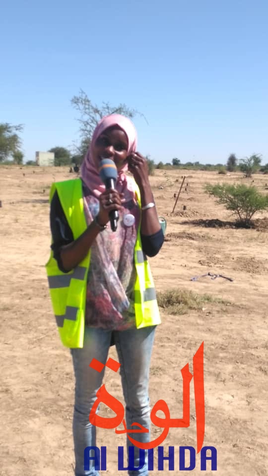 Tchad : contre la désertification, 6 hectares mis à disposition de Citoyens sans frontières