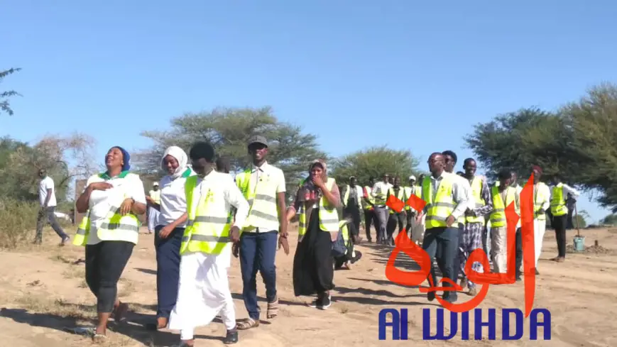 Tchad : contre la désertification, le milieu associatif se met à contribution. © Alwihda Info