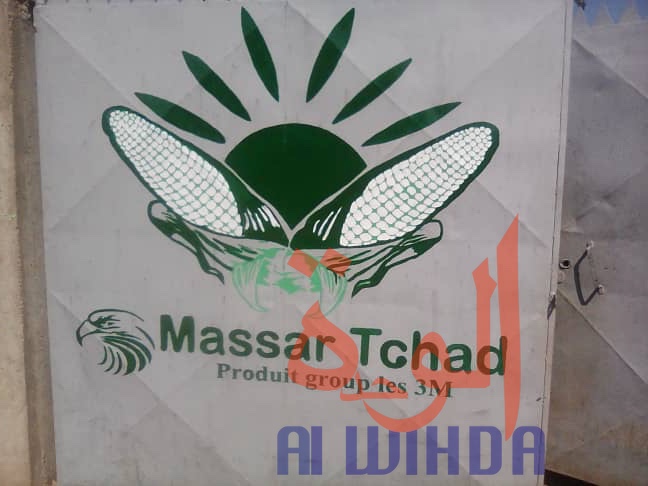 Tchad : à Moundou, trois amis lancent une usine de transformation de maïs. © Alwihda Info Tchad : à Moundou, trois amis lancent une usine de transformation de maïs. © Alwihda Info