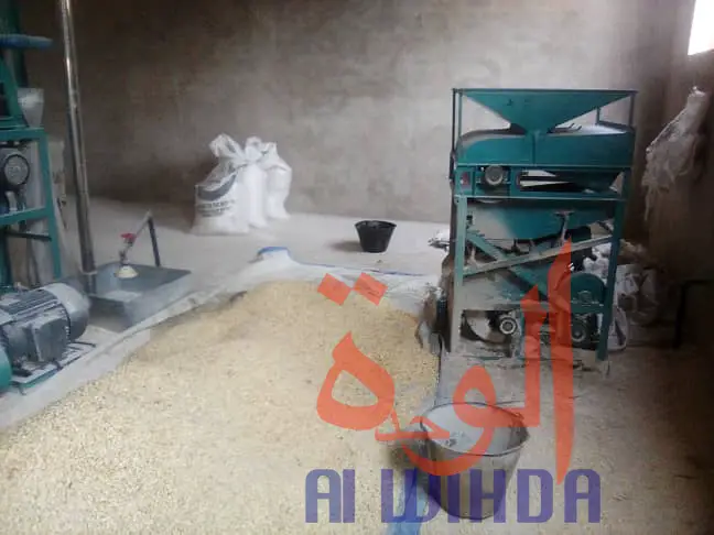 Tchad : à Moundou, trois amis lancent une usine de transformation de maïs. © Alwihda Info