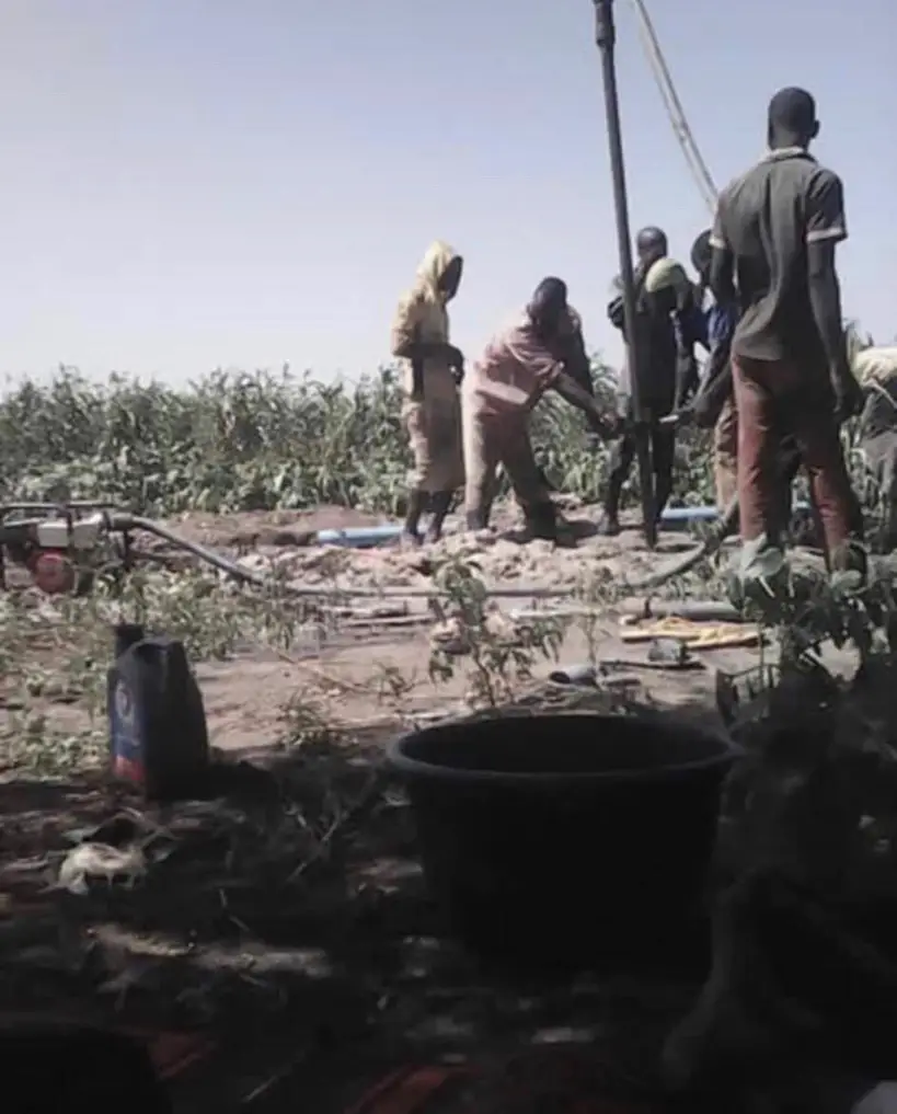Tchad : 15 forages d'irrigation en faveur des jeunes et femmes au Lac. © DR