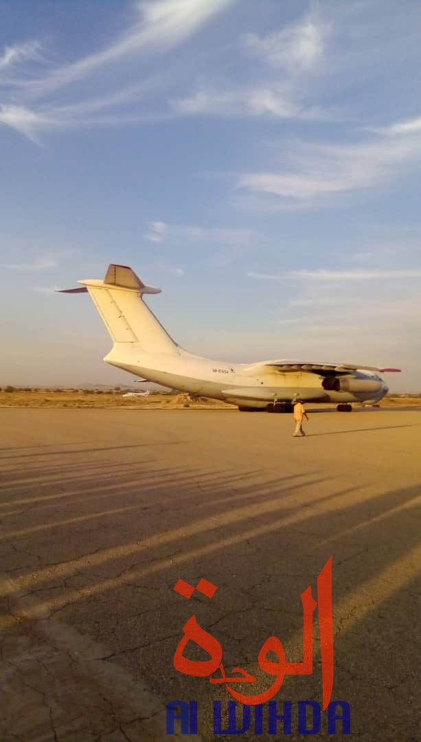 Tchad : un avion cargo transportant des oryx et addax se pose à l'aéroport d'Abéché. © Alwihda Info