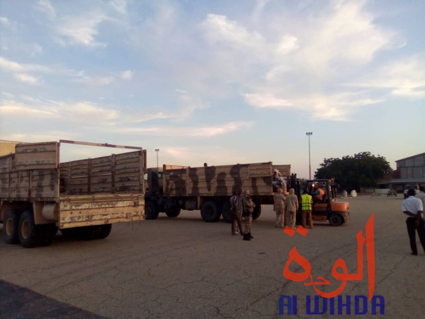 Tchad : un avion cargo transportant des oryx et addax se pose à l'aéroport d'Abéché. © Alwihda Info