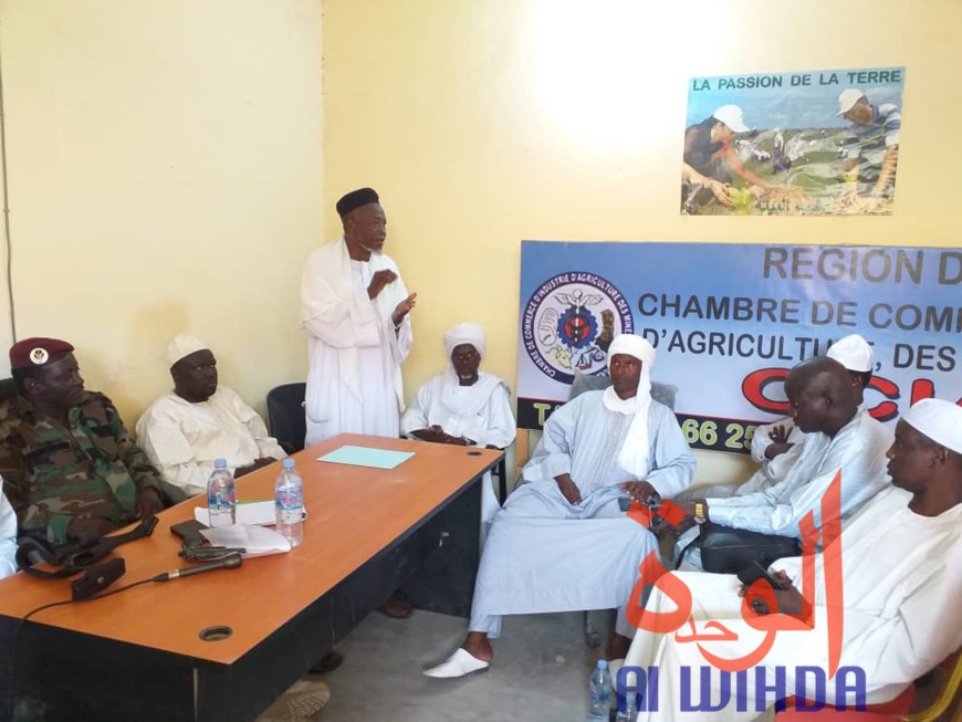 Tchad : les commerçants appelés à déposer les armes à l'Est, déjà 18 Famas récupérés Tchad : les commerçants appelés à déposer les armes à l'Est, déjà 18 Famas récupérés