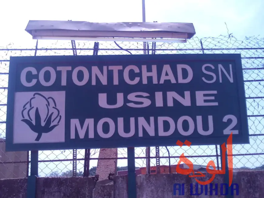 Tchad : le ministre d'Etat Kalzeubet Pahimi lance la campagne cotonnière à Moundou