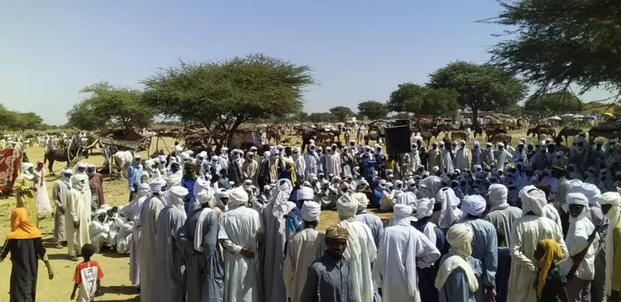 Tchad : au marché de bétail d'Ati, une sensibilisation pour la scolarisation des enfants. © Alwihda Info