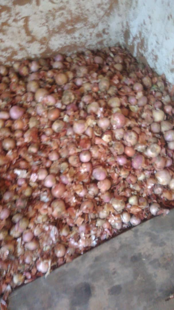 Cameroun : Le prix du sac d'oignons à 120.000 FCFA Cameroun : Le prix du sac d'oignons à 120.000 FCFA