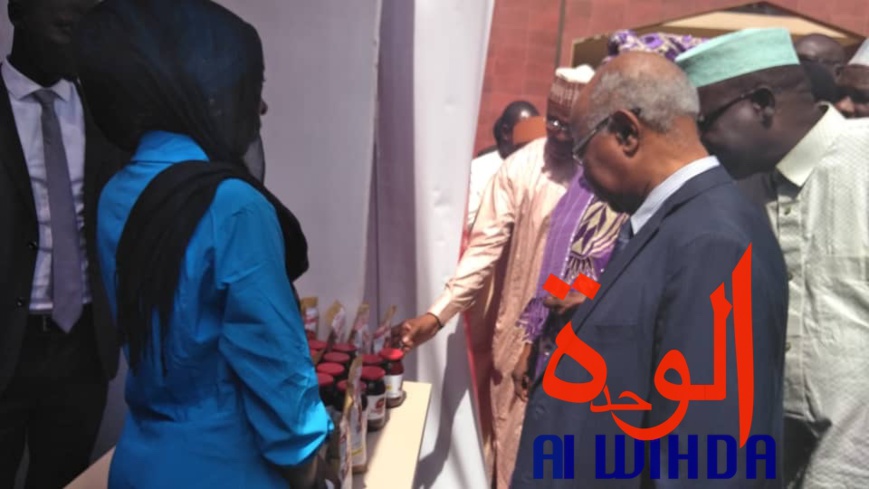 Tchad : la semaine mondiale de l'entrepreneuriat lancée à N'Djamena Tchad : la semaine mondiale de l'entrepreneuriat lancée à N'Djamena