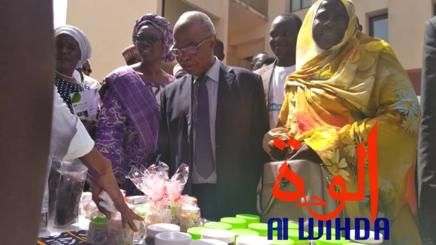 Tchad : la semaine mondiale de l'entrepreneuriat lancée à N'Djamena Tchad : la semaine mondiale de l'entrepreneuriat lancée à N'Djamena