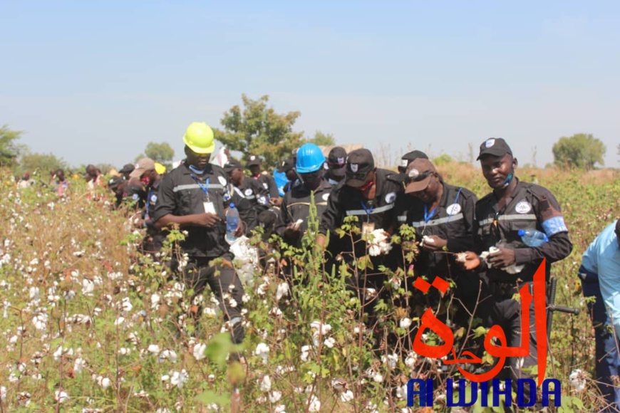 Tchad : "La terre n'est pas ingrate comme nous les Hommes" Tchad : "La terre n'est pas ingrate comme nous les Hommes"