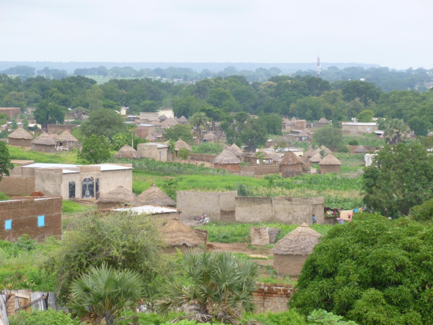 La ville de Pala. Illustration. © DR La ville de Pala. Illustration. © DR