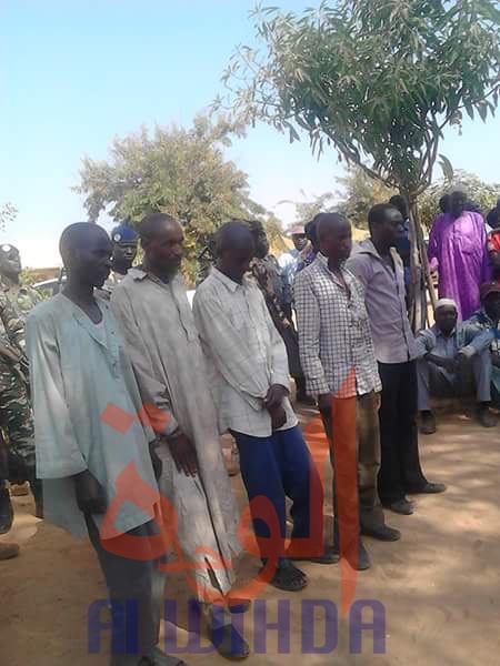 Des malfrats impliqués dans des enlèvements contre rançons arrêtés au Mayo Kebbi Ouest. Illustration. © Alwihda Info/F.M. Des malfrats impliqués dans des enlèvements contre rançons arrêtés au Mayo Kebbi Ouest. Illustration. © Alwihda Info/F.M.