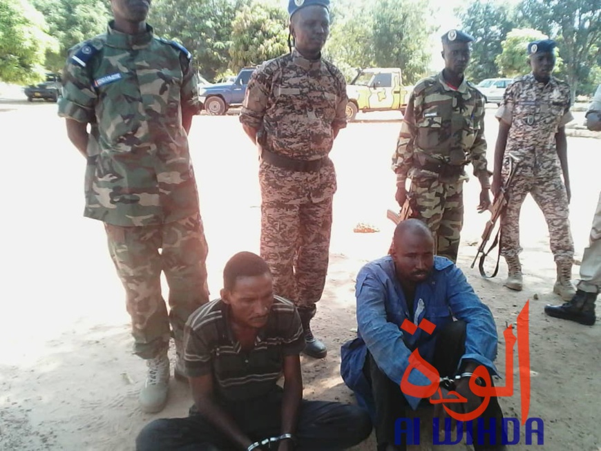 Tchad : double arrestation après l'assassinat d'un homme au Cameroun. © Alwihda Info