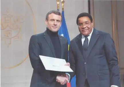 Cameroun/France: Alfred Nguini présente ses lettres de créances à Macron