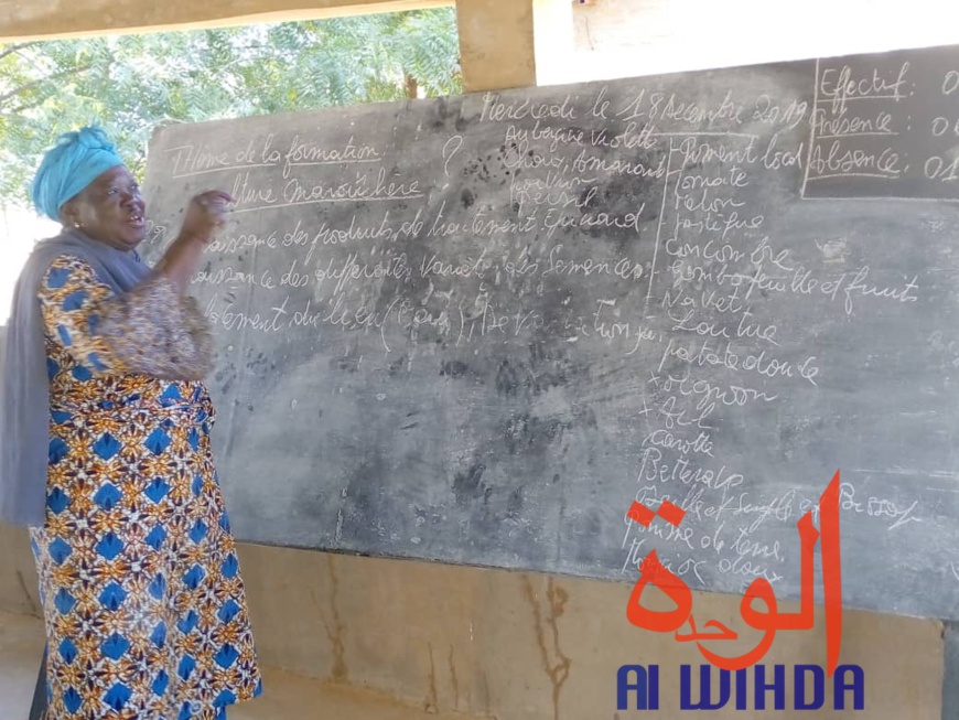 Tchad : 32 personnes formées en culture maraîchère à Goz Beida. © Alwihda Info Tchad : 32 personnes formées en culture maraîchère à Goz Beida. © Alwihda Info