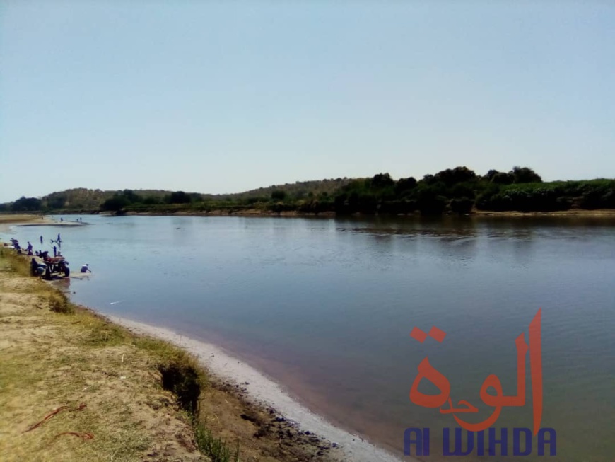 Tchad : à Koukou Angarana, l'activité économique fait oublier l'état d'urgence Tchad : à Koukou Angarana, l'activité économique fait oublier l'état d'urgence