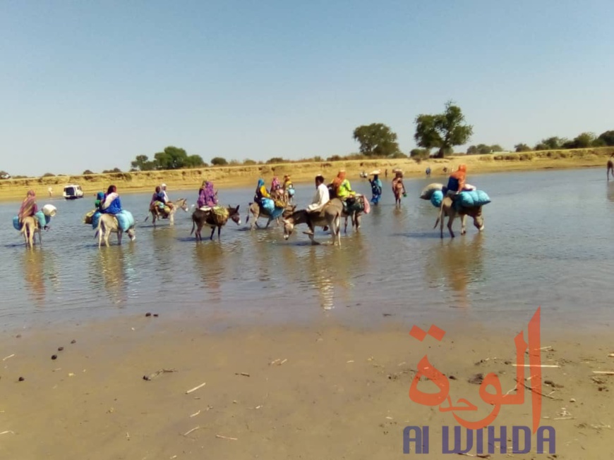 Tchad : à Koukou Angarana, l'activité économique fait oublier l'état d'urgence Tchad : à Koukou Angarana, l'activité économique fait oublier l'état d'urgence