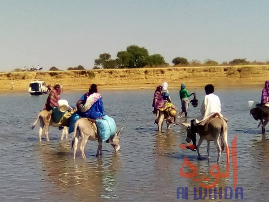 Tchad : à Koukou Angarana, l'activité économique fait oublier l'état d'urgence Tchad : à Koukou Angarana, l'activité économique fait oublier l'état d'urgence
