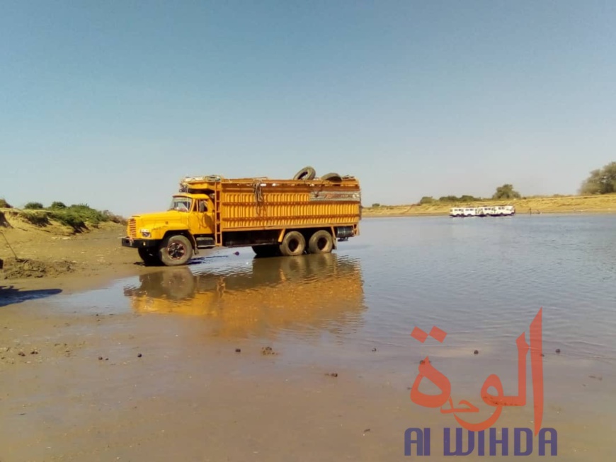 Tchad : à Koukou Angarana, l'activité économique fait oublier l'état d'urgence Tchad : à Koukou Angarana, l'activité économique fait oublier l'état d'urgence