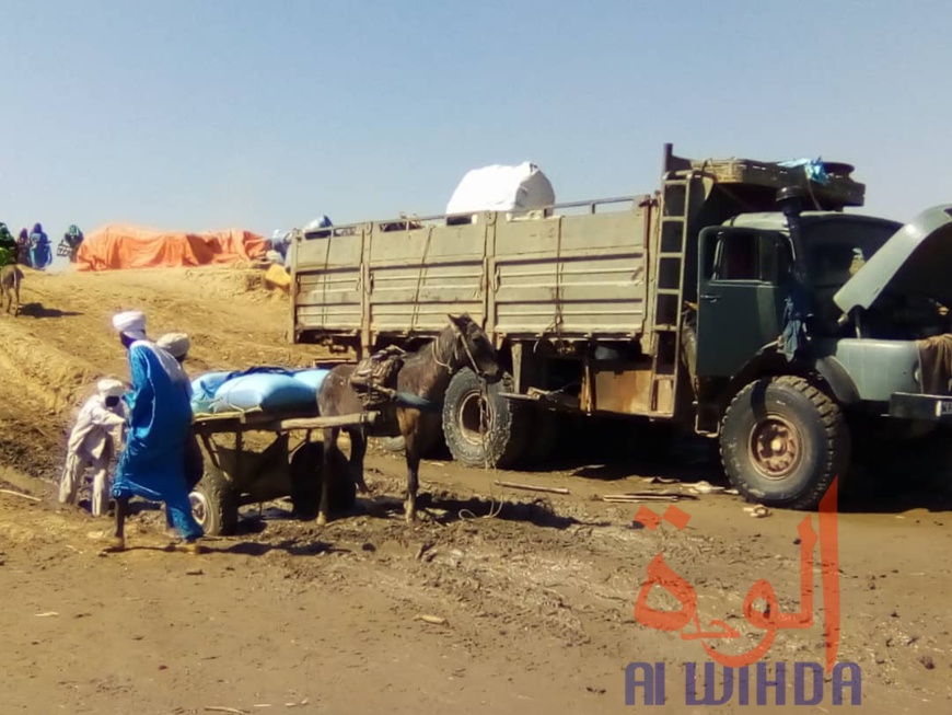 Tchad : à Koukou Angarana, l'activité économique fait oublier l'état d'urgence