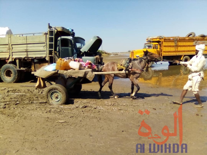 Tchad : à Koukou Angarana, l'activité économique fait oublier l'état d'urgence Tchad : à Koukou Angarana, l'activité économique fait oublier l'état d'urgence