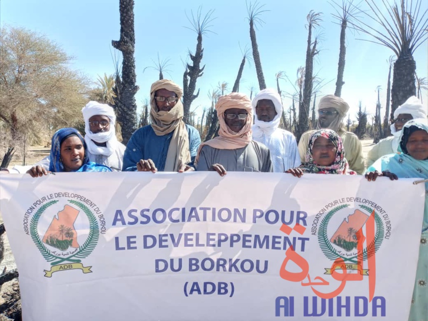 Tchad : un incendie ravage plus de 5.000 pieds de dattiers au Borkou. © Alwihda Info Tchad : un incendie ravage plus de 5.000 pieds de dattiers au Borkou. © Alwihda Info