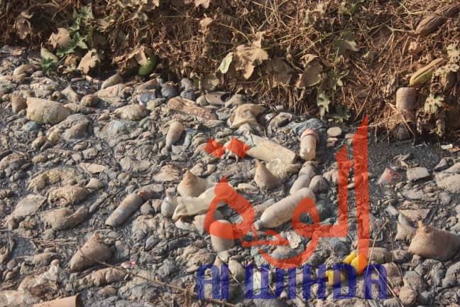 Tchad : les machines à extraction d’huile, un véritable problème d'hygiène. © Alwihda Info/Golmen Ali Tchad : les machines à extraction d’huile, un véritable problème d'hygiène. © Alwihda Info/Golmen Ali