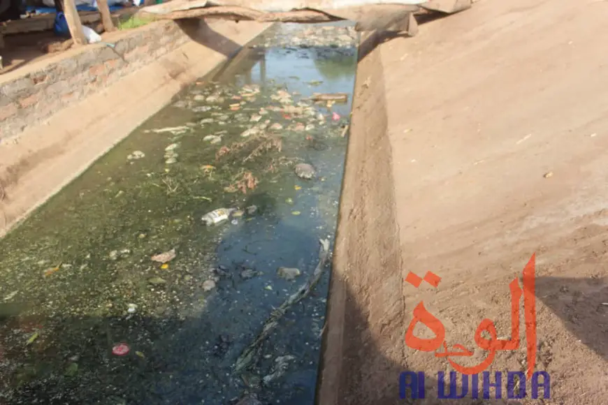 Tchad : ​les machines à extraction d’huile, un véritable problème d'hygiène. © Alwihda Info/Golmen Ali