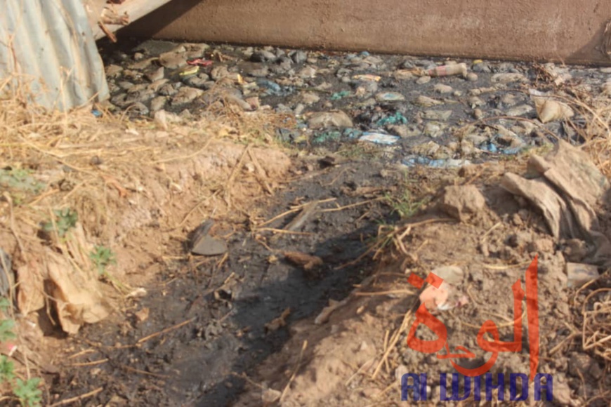 Tchad : les machines à extraction d’huile, un véritable problème d'hygiène. © Alwihda Info/Golmen Ali Tchad : les machines à extraction d’huile, un véritable problème d'hygiène. © Alwihda Info/Golmen Ali