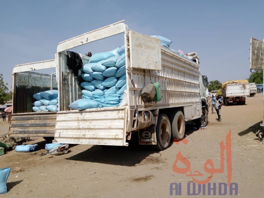 Tchad : à l'Est, le sésame s'exporte jusqu'au Soudan. © Alwihda Info Tchad : à l'Est, le sésame s'exporte jusqu'au Soudan. © Alwihda Info