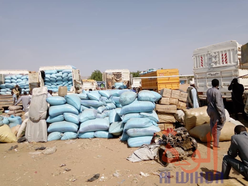 Tchad : à l'Est, le sésame s'exporte jusqu'au Soudan. © Alwihda Info