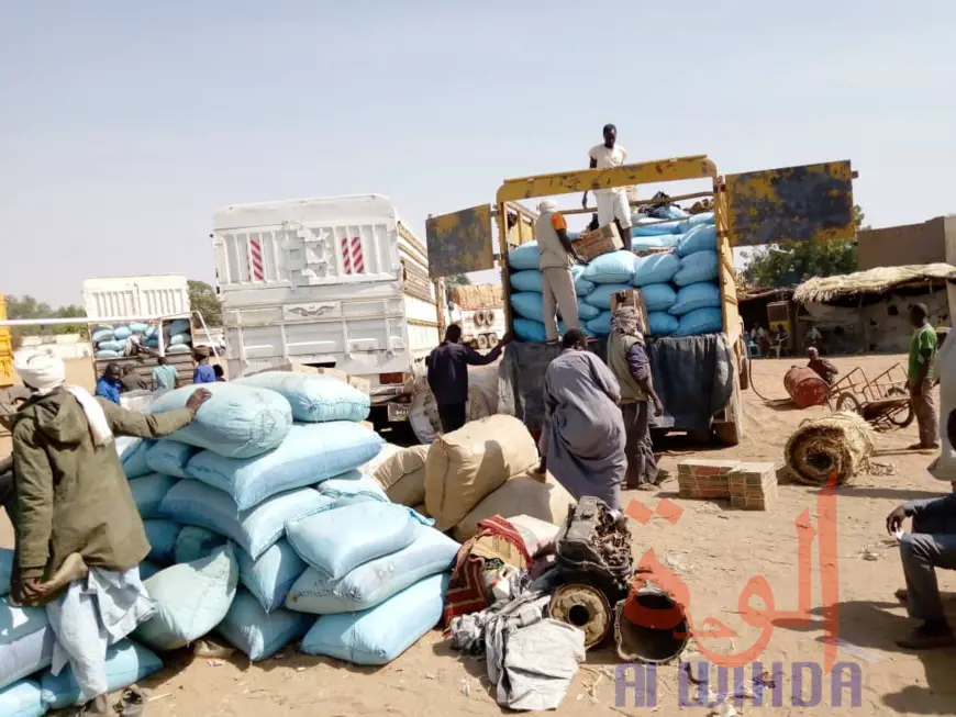 Tchad : à l'Est, le sésame s'exporte jusqu'au Soudan. © Alwihda Info