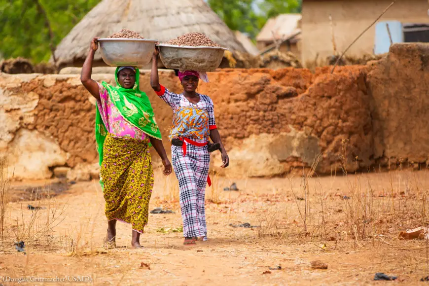 Des femmes transportent des noix vers le lieu où elles seront transformées. (Douglas Gritzmacher/USAID)