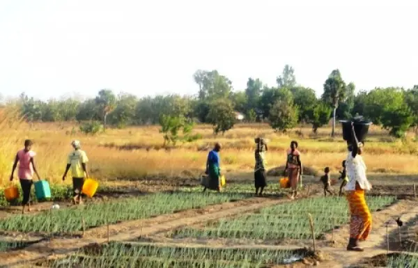 Des agriculteurs au Togo. © DR/Togo First