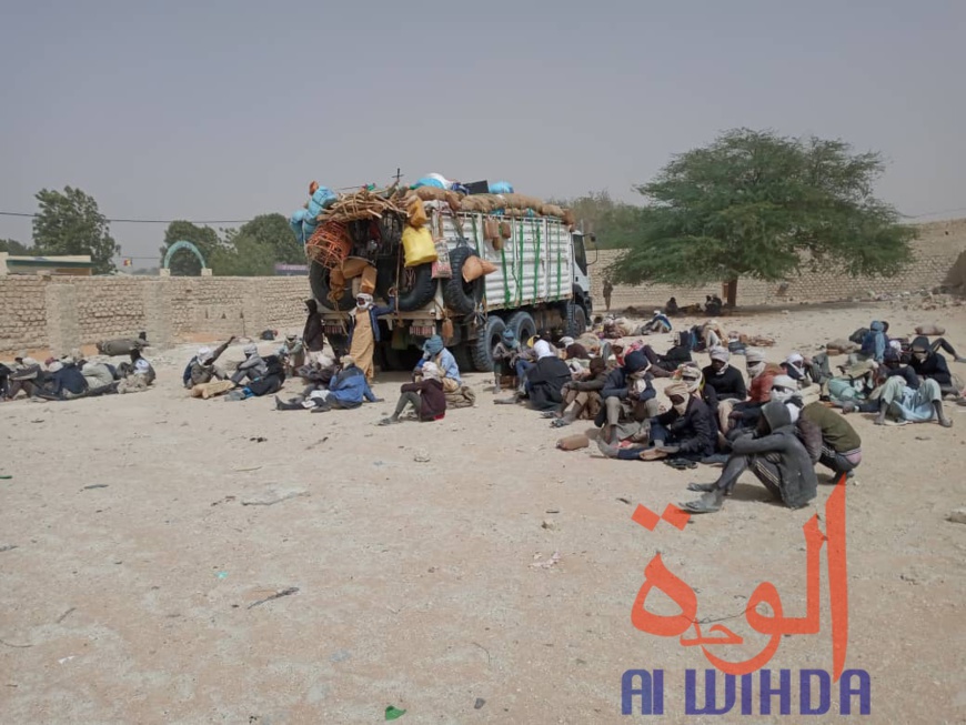 Tchad : 106 orpailleurs clandestins arrêtés au Borkou. © Abdoulaye Akim/Alwihda Info