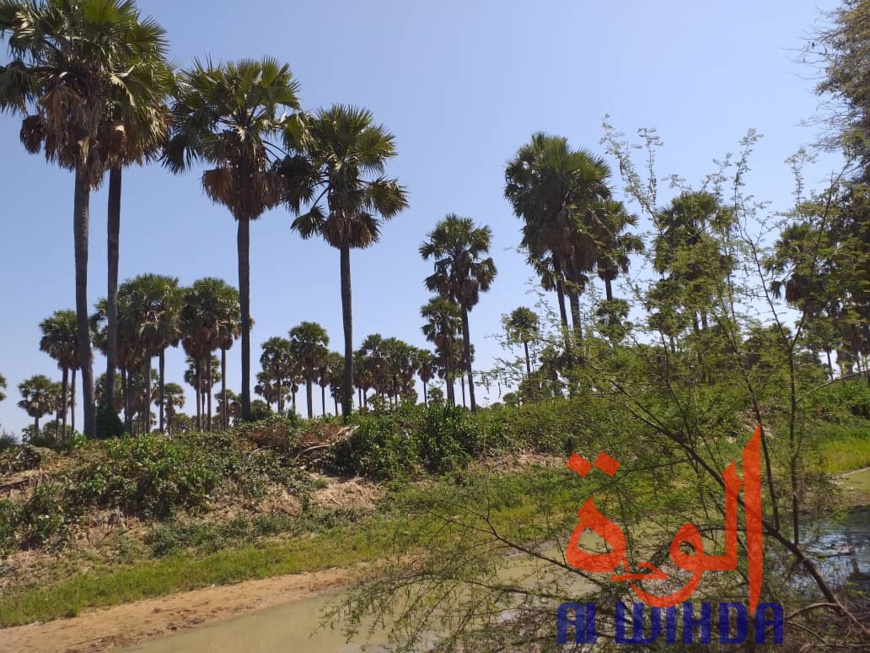 Tchad : A Kerfi, un paysage fascinant. © Mahamat Issa Gadaya/Alwihda Info