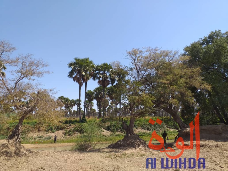 Tchad : A Kerfi, un paysage fascinant. © Mahamat Issa Gadaya/Alwihda Info Tchad : A Kerfi, un paysage fascinant. © Mahamat Issa Gadaya/Alwihda Info