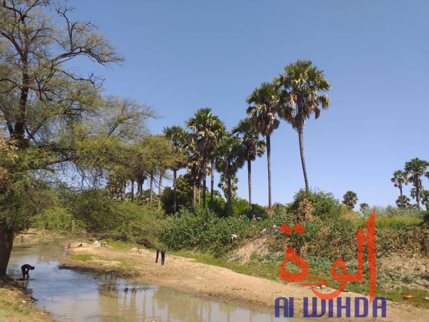 Tchad : A Kerfi, un paysage fascinant. © Mahamat Issa Gadaya/Alwihda Info Tchad : A Kerfi, un paysage fascinant. © Mahamat Issa Gadaya/Alwihda Info