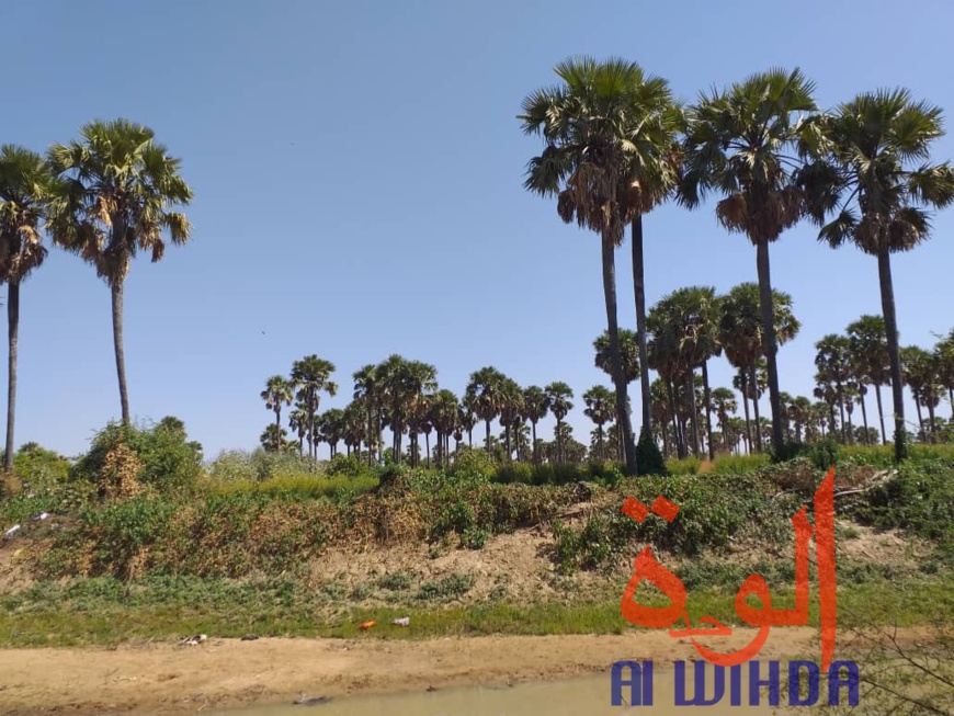 Tchad : A Kerfi, un paysage fascinant. © Mahamat Issa Gadaya/Alwihda Info Tchad : A Kerfi, un paysage fascinant. © Mahamat Issa Gadaya/Alwihda Info