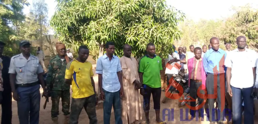 Tchad : 4 malfrats appréhendés à Pala, 5 motos récupérées. © Foka Mapagne/Alwihda Info