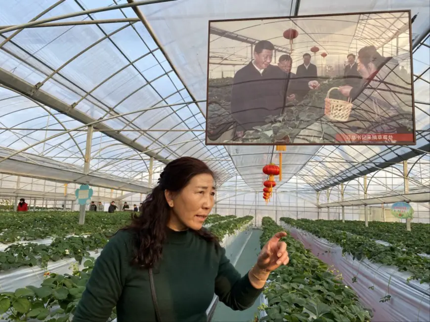 Ye Minglan recommends her strawberries to visitors. (Photo by Fu Yongchao from People’s Daily Overseas Edition)