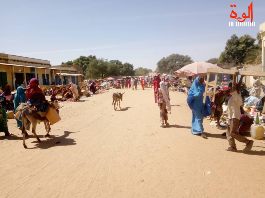 La ville de Goz Beida. © Mahamat Issa Gadaya/Alwihda Info La ville de Goz Beida. © Mahamat Issa Gadaya/Alwihda Info