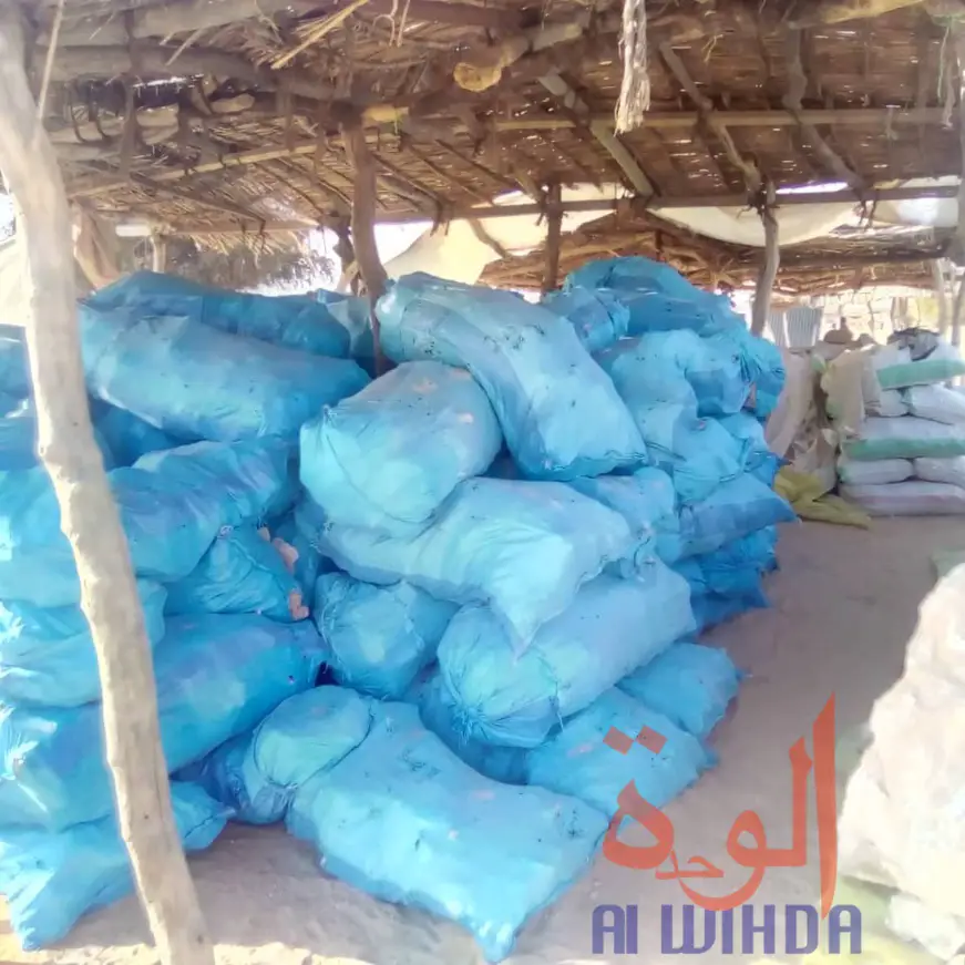 Tchad : le natron, une ressource naturelle transportée dans tout le pays. © Abba Issa/Alwihda Info